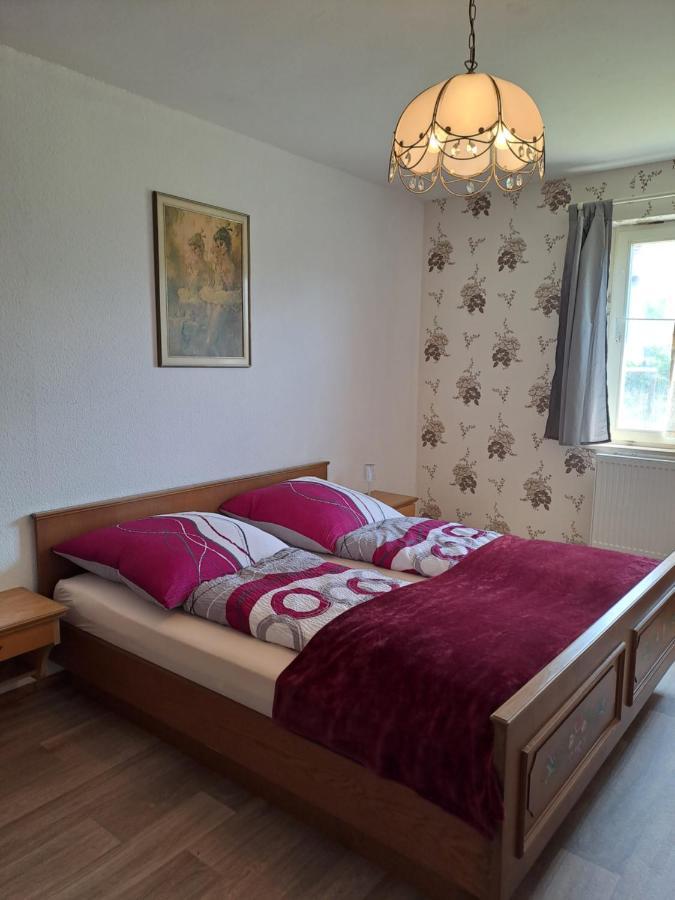 Keller'S Ferienwohnung An Der Saale Schwarzenbach an der Saale Esterno foto